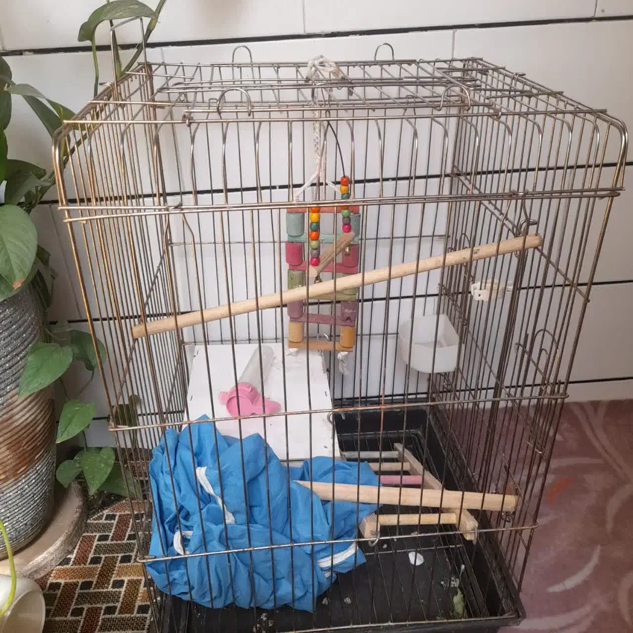 قفس کاسکویی بزرگ|لوازم جانبی حیوانات|قم, شهرک سازمان آب|دیوار