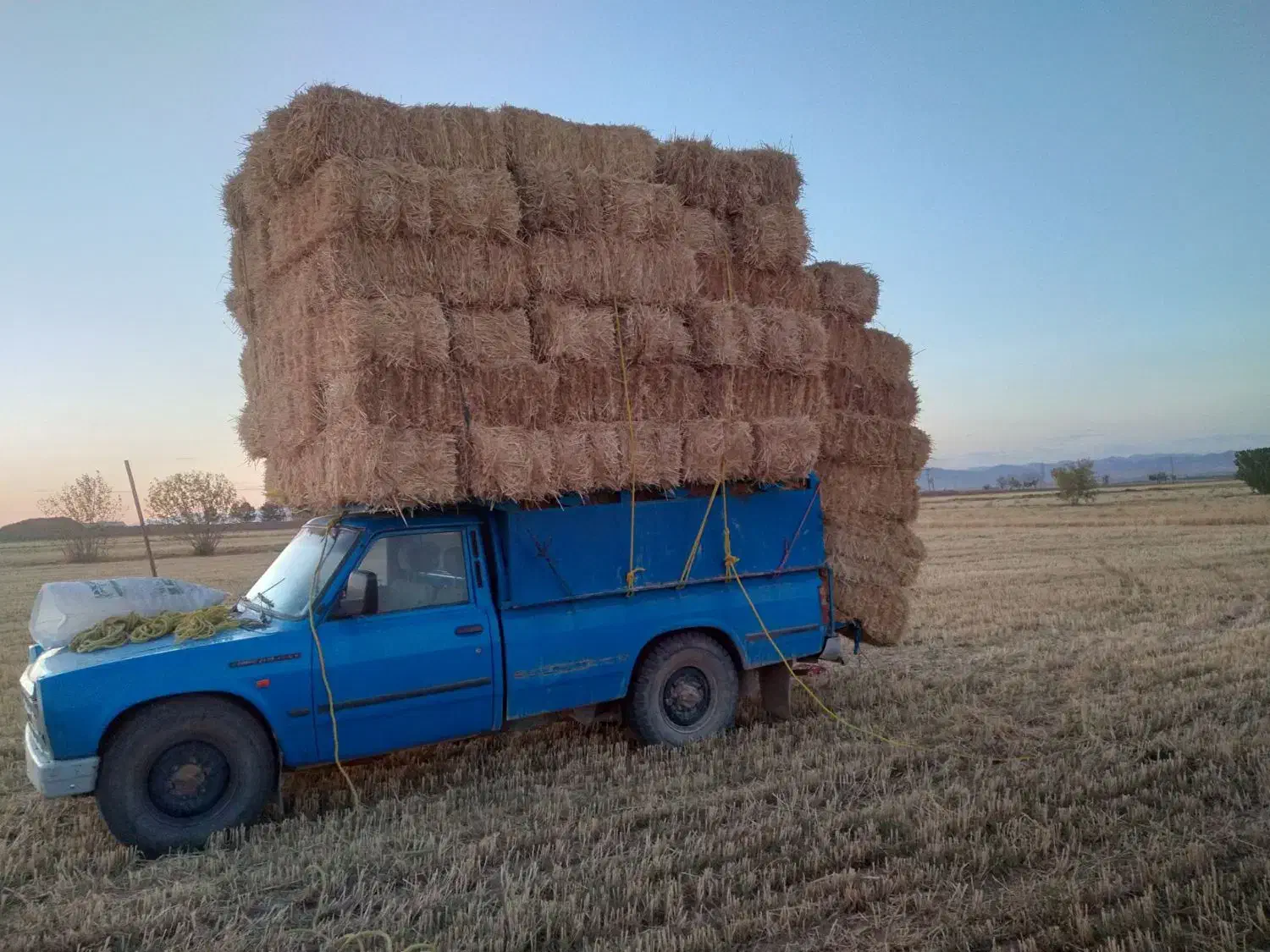 حمل بار با نیسان|خدمات حمل و نقل|قوچان, |دیوار