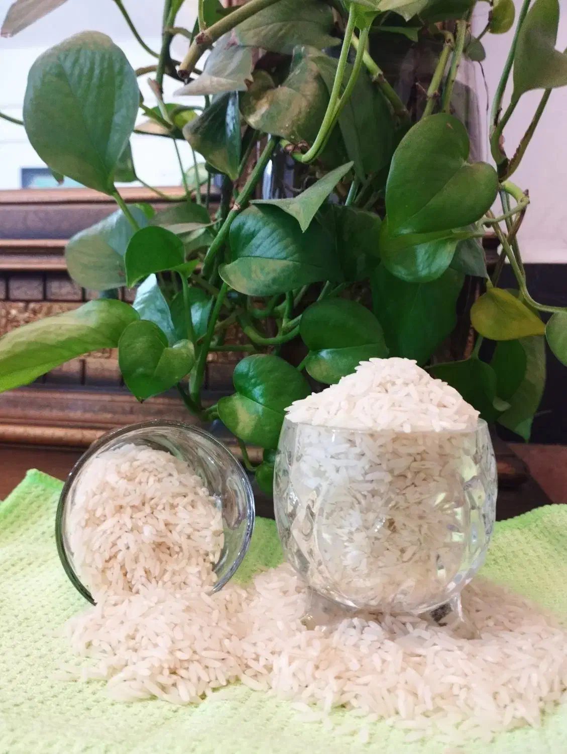 برنج طارم محلی|خوردنی و آشامیدنی|تهران, شهرک امید|دیوار