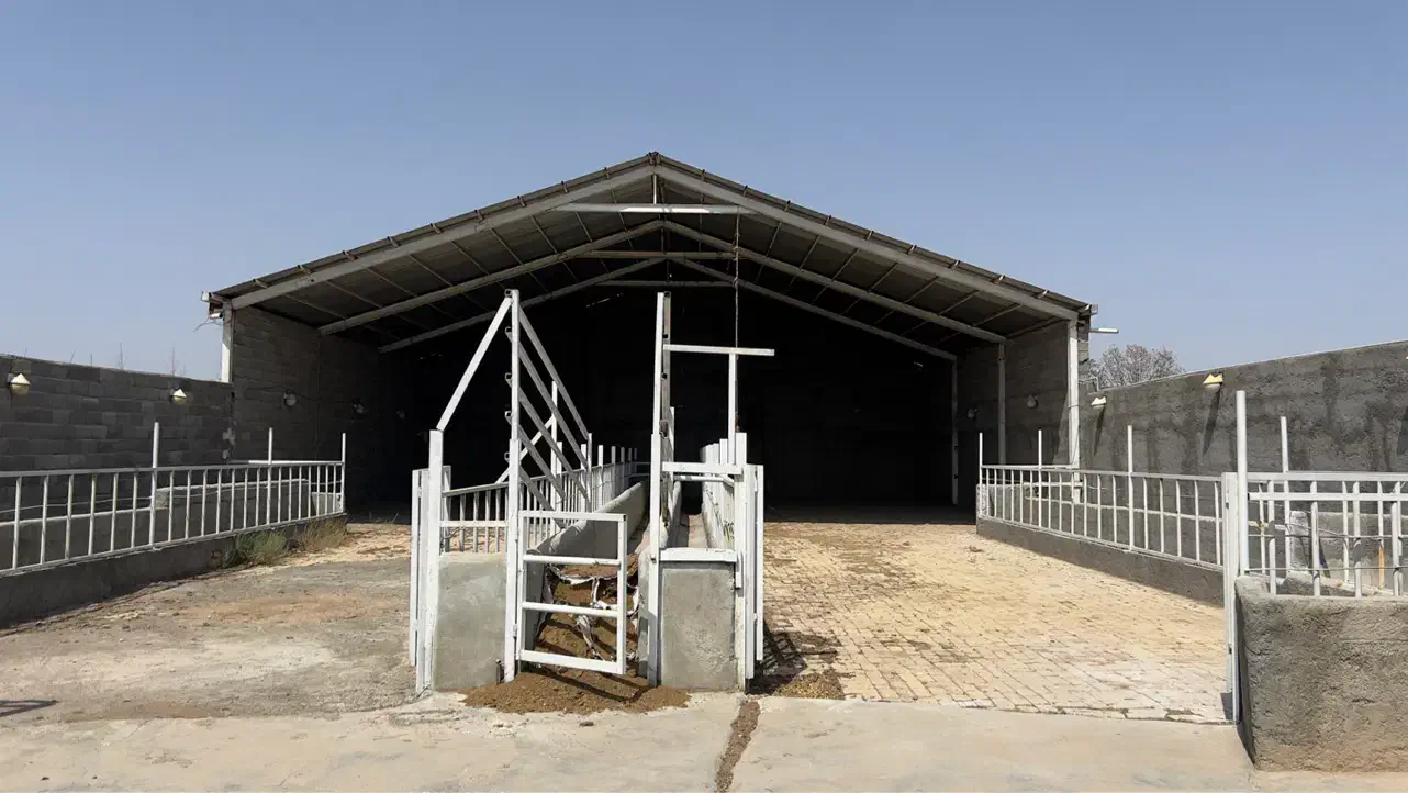 ۱۱۰۰مترکارگاه همه چی تکمیل|فروش دفتر صنعتی، کشاورزی، تجاری|قرچک, داوود آباد|دیوار