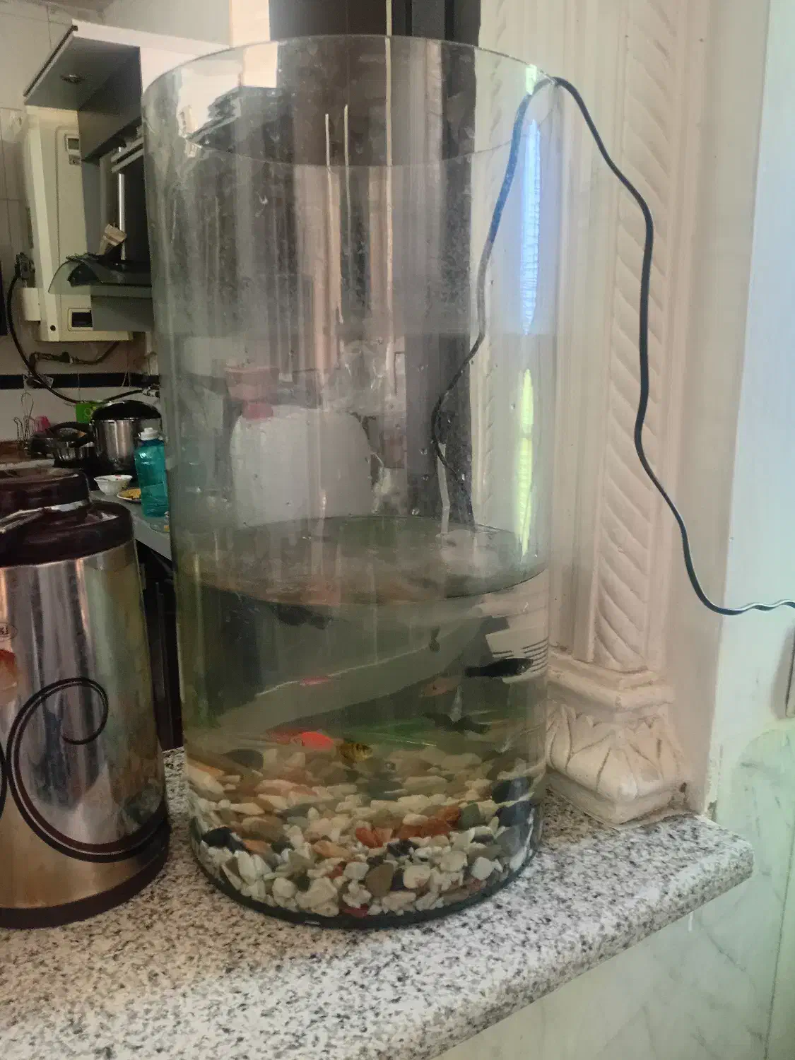 آکواریم با تجهیزات|ماهی|شیراز, تندگویان|دیوار