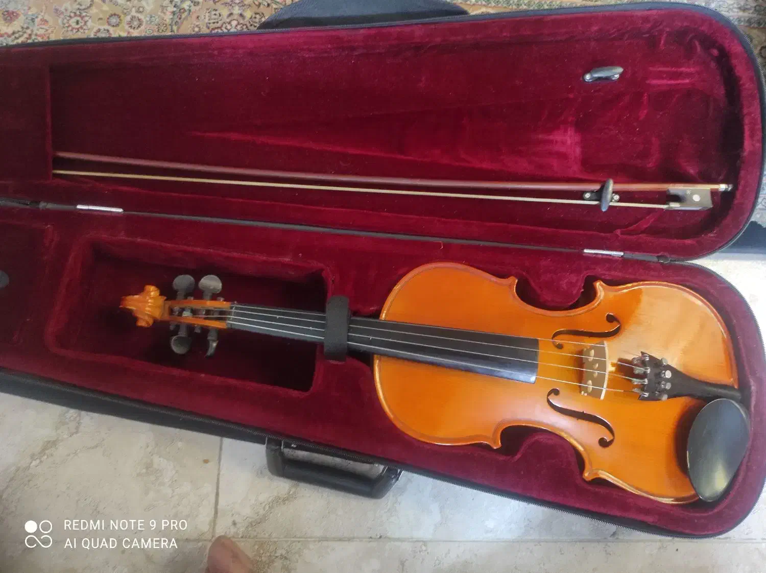 ویولن|ویولن|کرمان, |دیوار