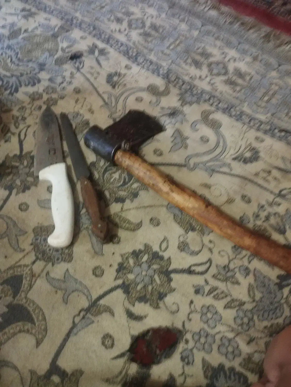 قصاب ماهر|خدمات پیشه و مهارت|کرباسک, |دیوار