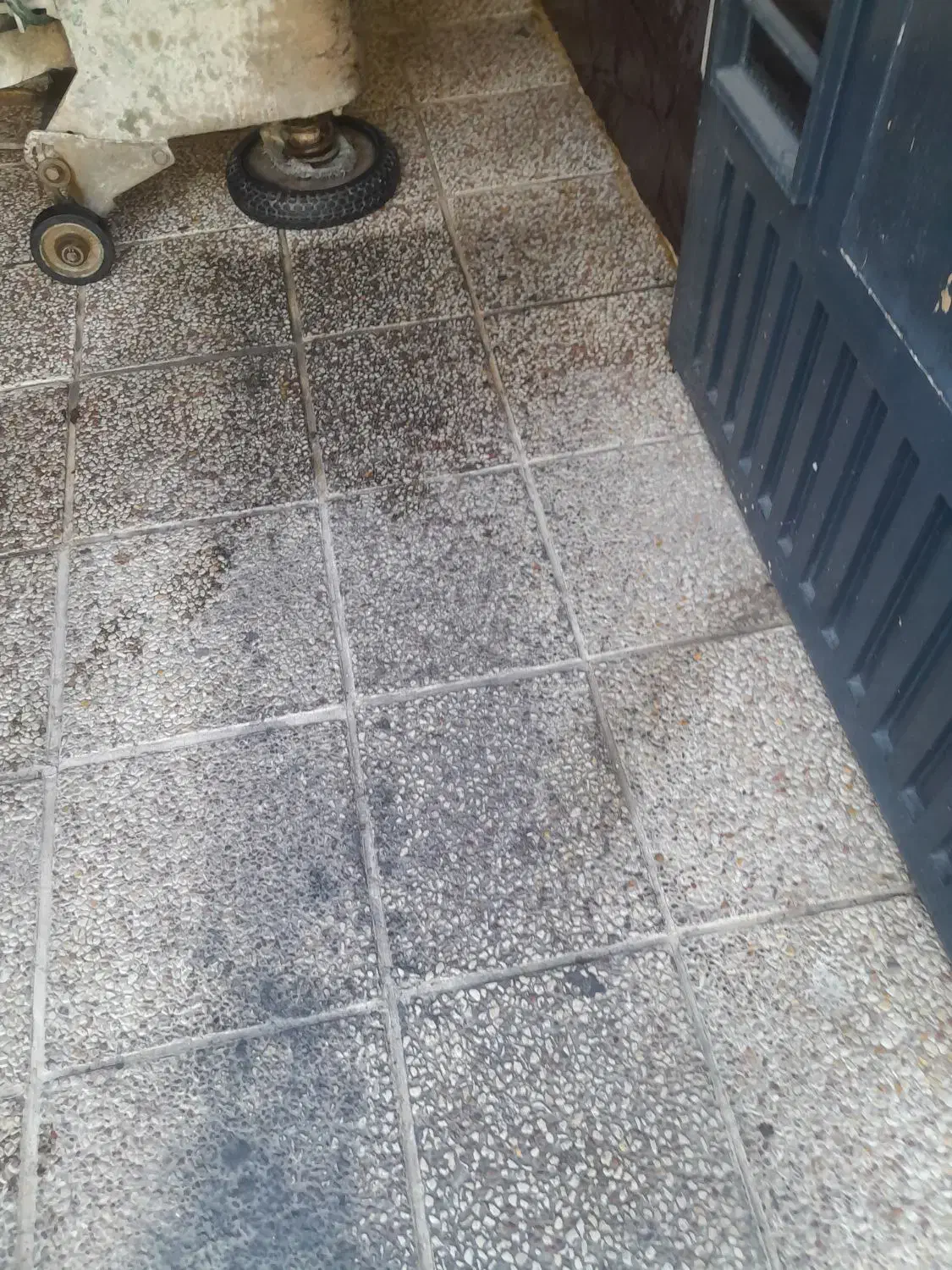 کفسابی کاشی سابی سنگسابی  موزاییک|خدمات نظافت|شیراز, دارالرحمه|دیوار