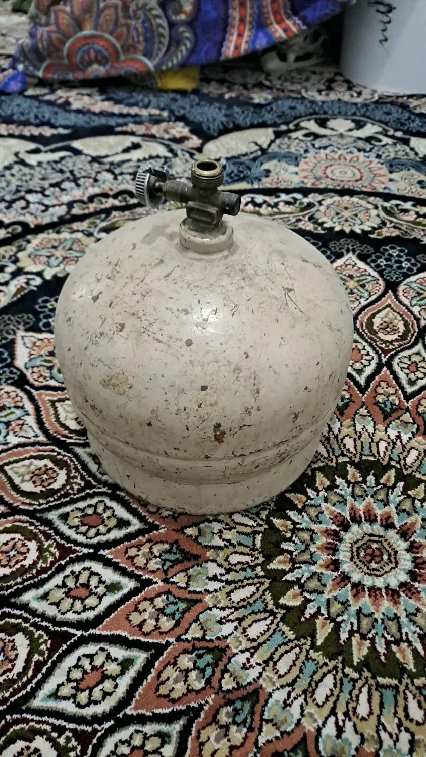 پکنیک|اجاق گاز و لوازم برقی پخت‌وپز|صابری, |دیوار