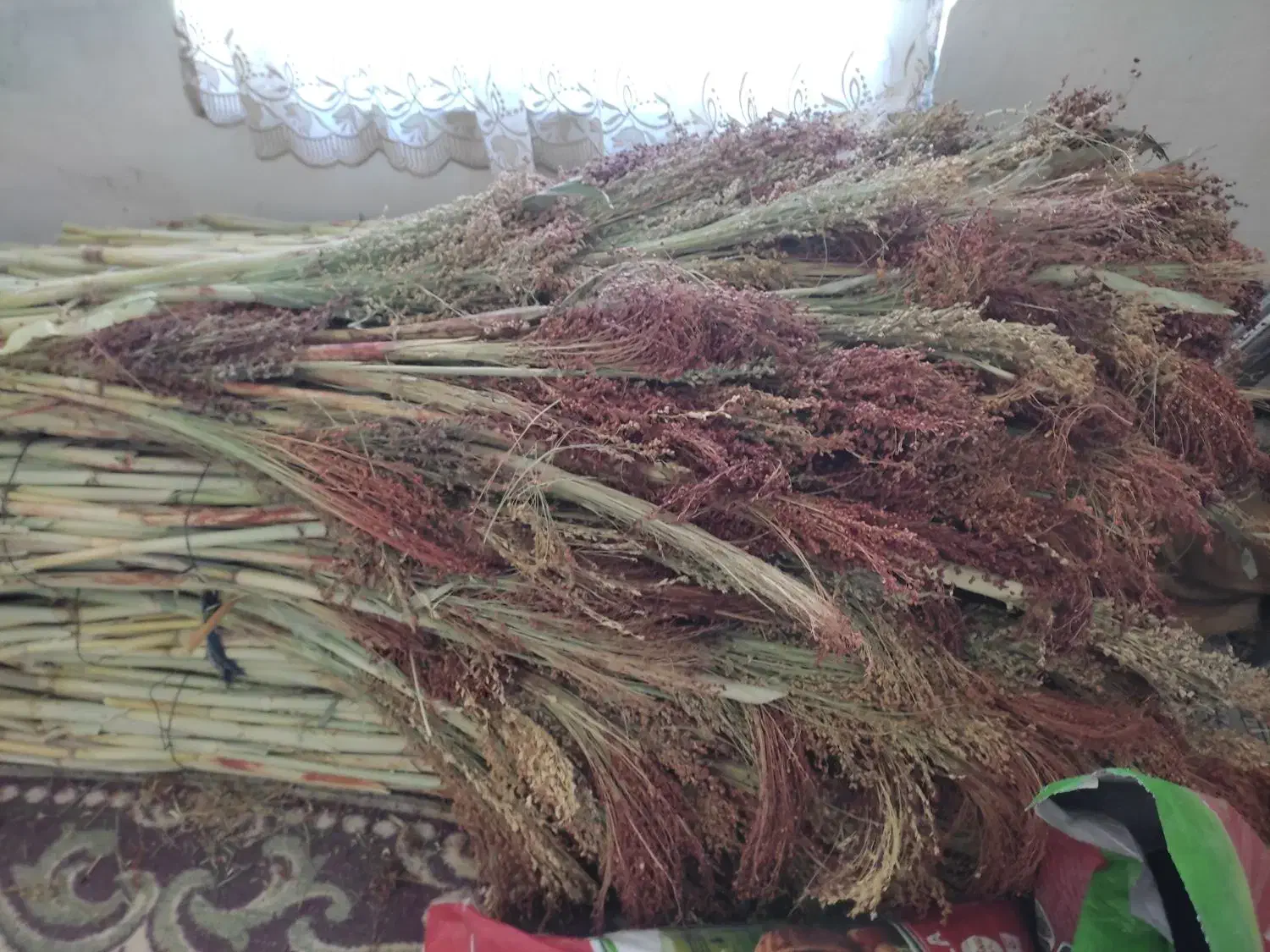 جارو شهری قرمز درجه ۱|لوازم نظافت|کرمانشاه, |دیوار