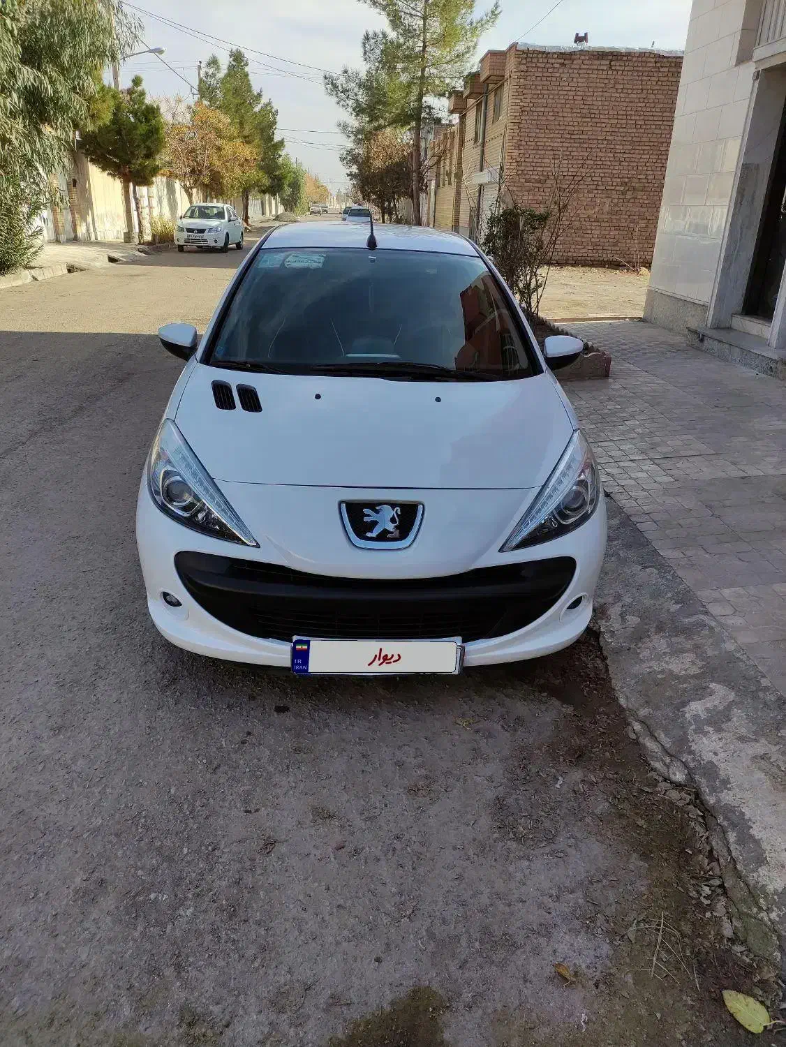 ۲۰۷ مدل ۱۳۹۶|خودرو سواری و وانت|گناباد, |دیوار