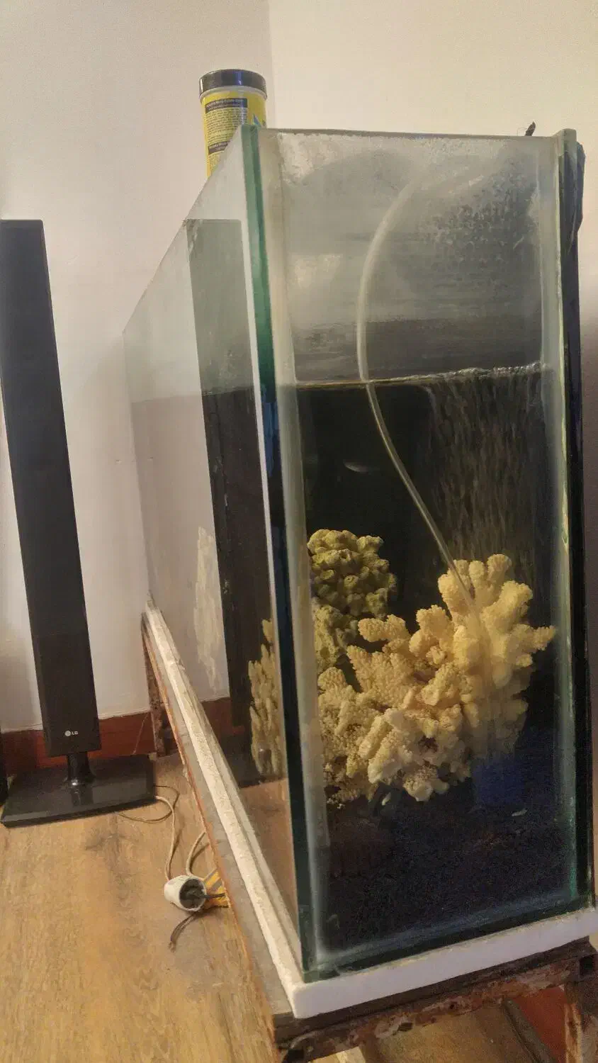 اکواریوم.|ماهی|محمدشهر, شهرک پیام (مهرالبرز)|دیوار