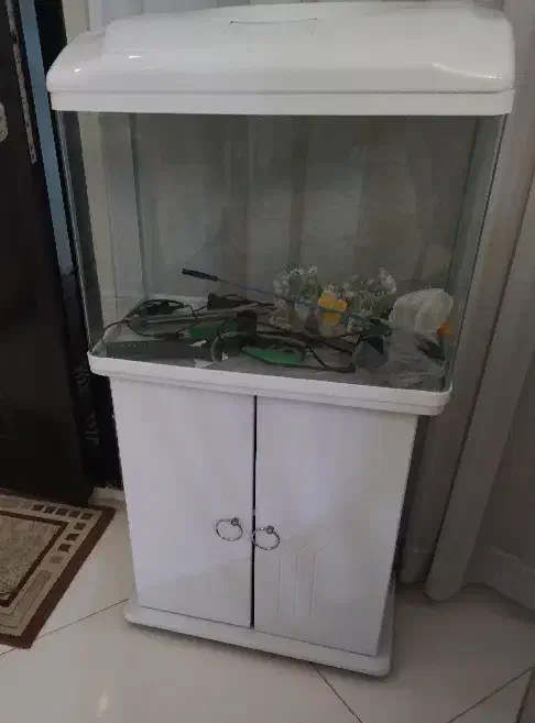 آکواریم لبه خم|ماهی|مشهد, طبرسی شمالی|دیوار