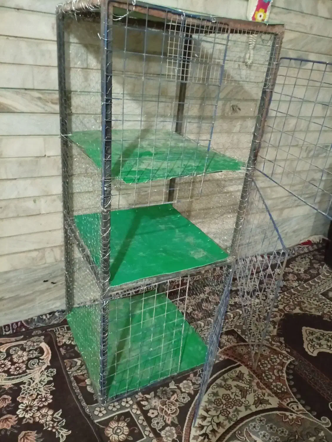 دو عدد قفس کفتر به فروش میرسد|لوازم جانبی حیوانات|خمینیشهر, |دیوار