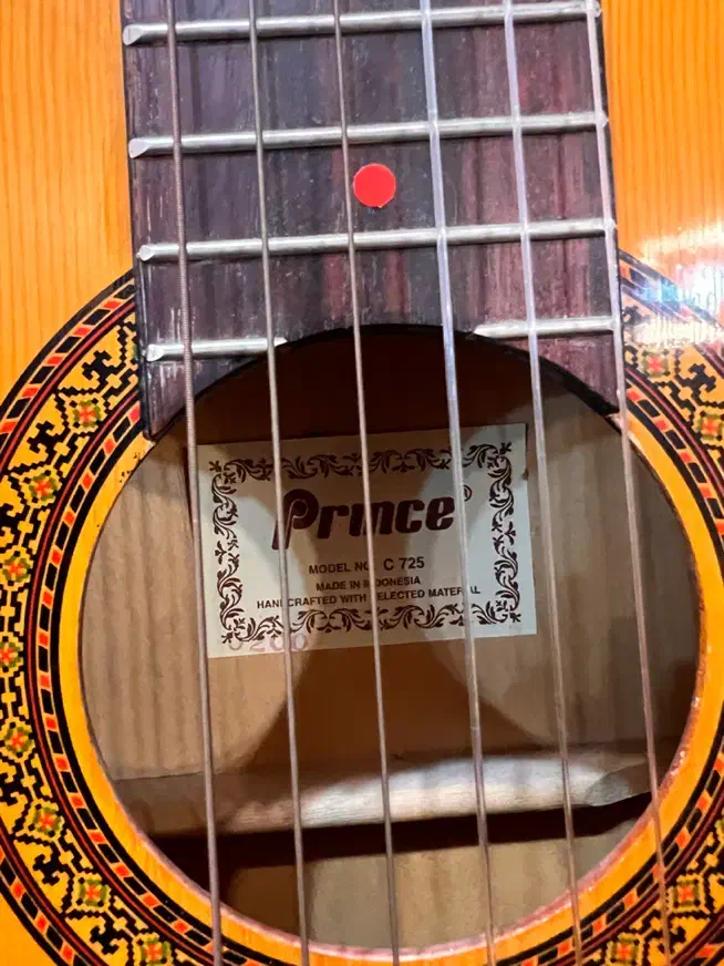 گیتار پرینس|گیتار، بیس، امپلیفایر|تهران, شهرک بوعلی|دیوار