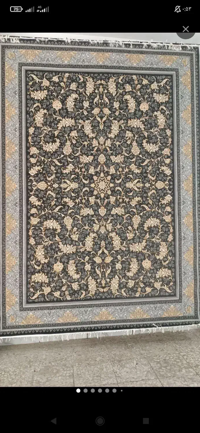 فرش 6متری|فرش|هشتگرد, گلسار|دیوار