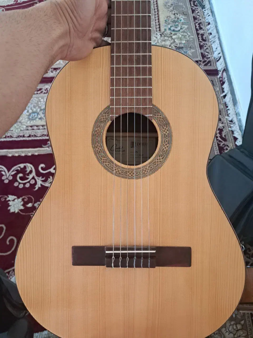 گیتار دوریس دست ساز DS|گیتار، بیس، امپلیفایر|برخوار, |دیوار