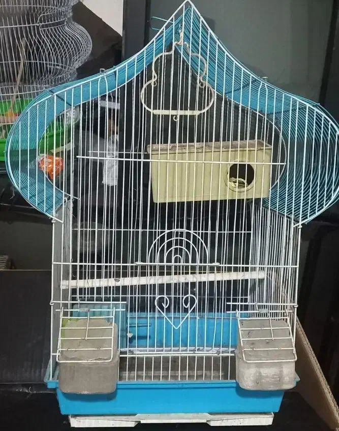 دو عدد قفس|لوازم جانبی حیوانات|رشت, پیرکلاچای|دیوار