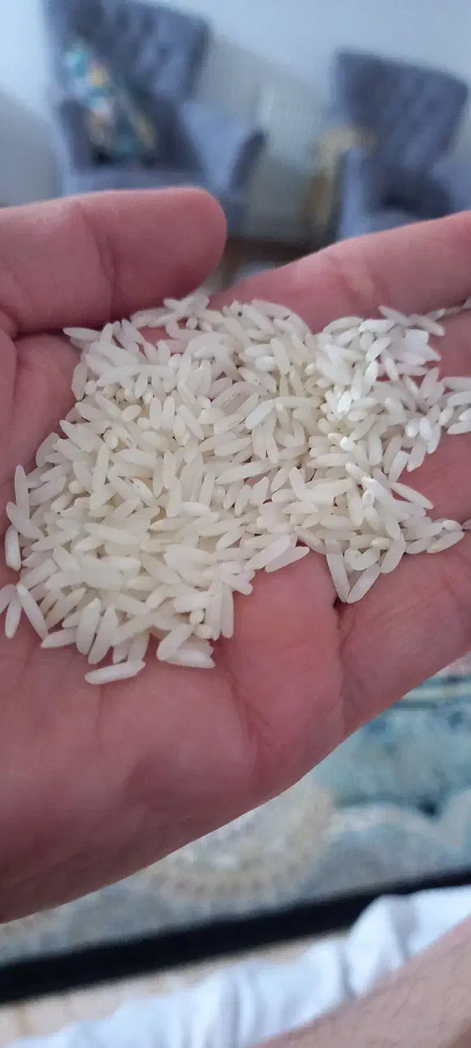 برنج هاشمی|خوردنی و آشامیدنی|رشت, منظریه|دیوار