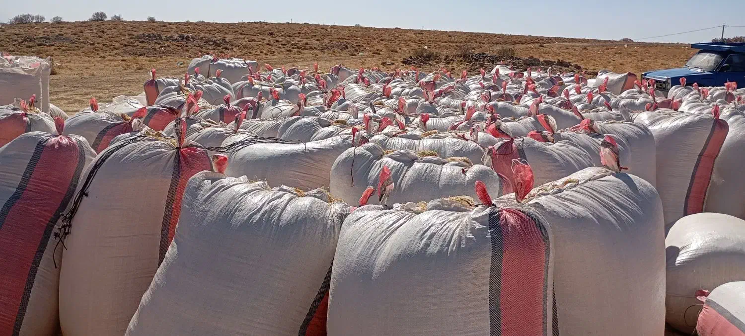 کاه و یونجه|عمده‌فروشی|رباط‌کریم, شهرک صنعتی زواره‌ای|دیوار