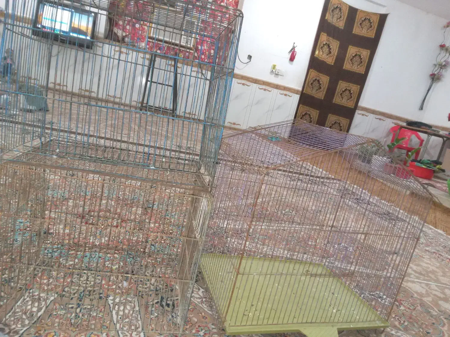 قفس کوچک و بزرگ|پرنده|اهواز, گلدشت|دیوار
