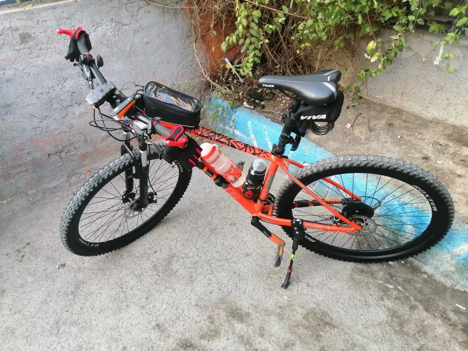 دوچرخه 29 خاص حرفه ای معاوظه|دوچرخه، اسکیت، اسکوتر|تربت جام, المهدی|دیوار