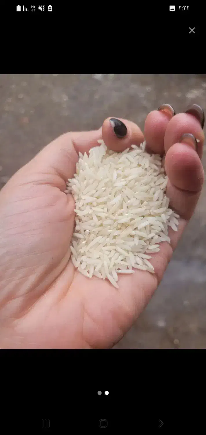 برنج هاشمی درجه یک به شرط پخت|خوردنی و آشامیدنی|لاهیجان, لیالستان|دیوار