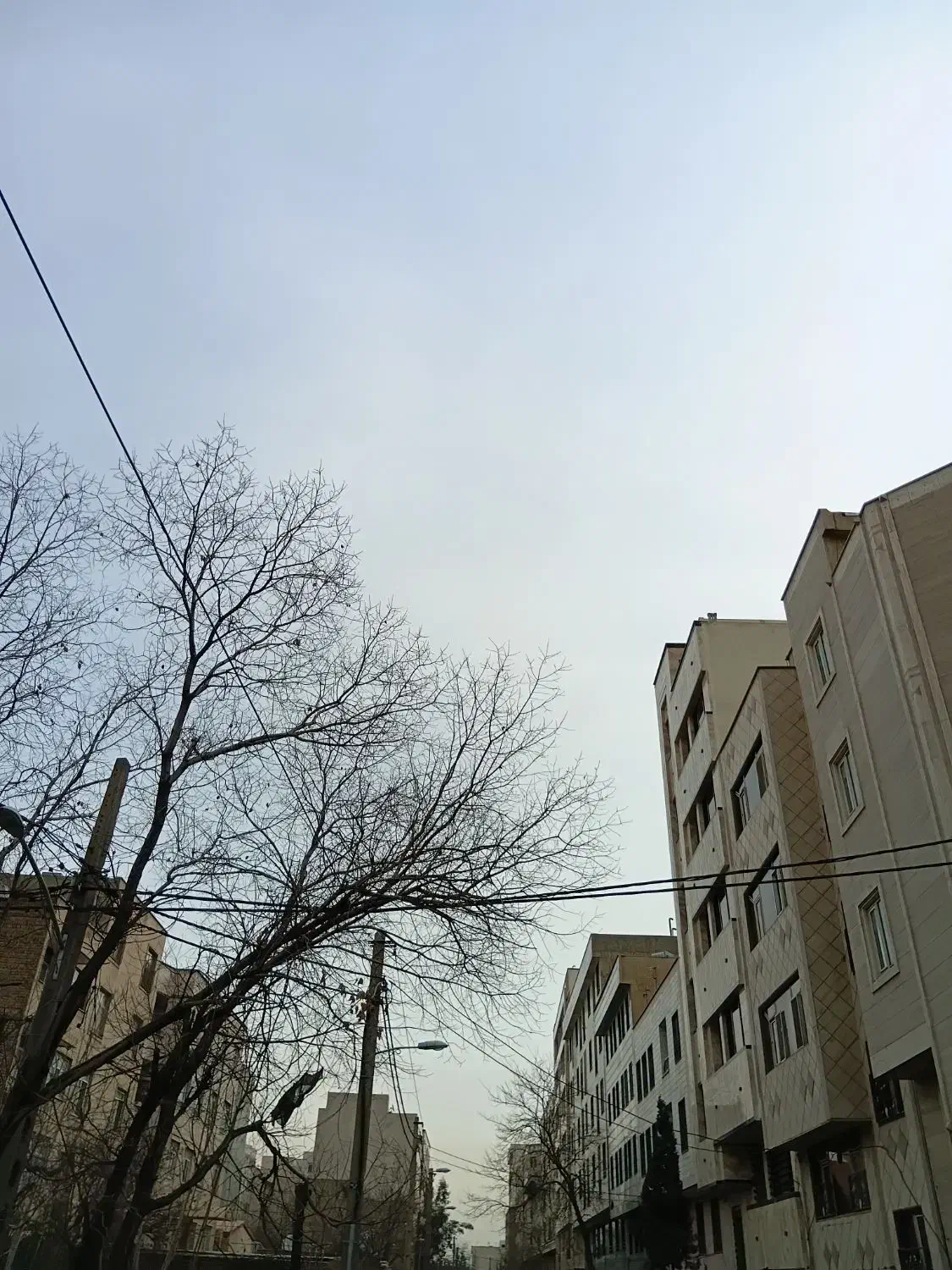 95متر کلید نخورده|اجارهٔ آپارتمان|تهران, تهرانسر غربی|دیوار