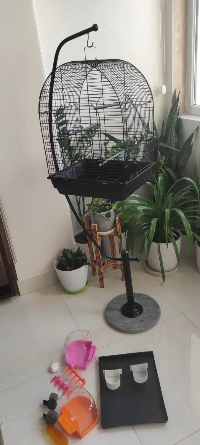 قفس پرنده بهمراه وسایل جانبی|لوازم جانبی حیوانات|بوشهر, |دیوار