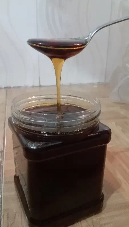 شیره انگور اصل ملایر|خوردنی و آشامیدنی|رشت, یخسازی|دیوار