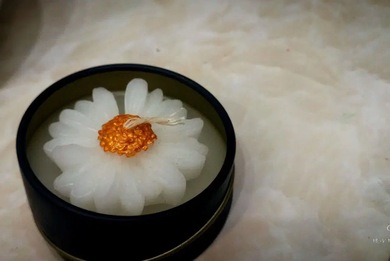 شمعVEARA LIGHT|صنایع دستی و سایر لوازم تزئینی|شاندیز, |دیوار