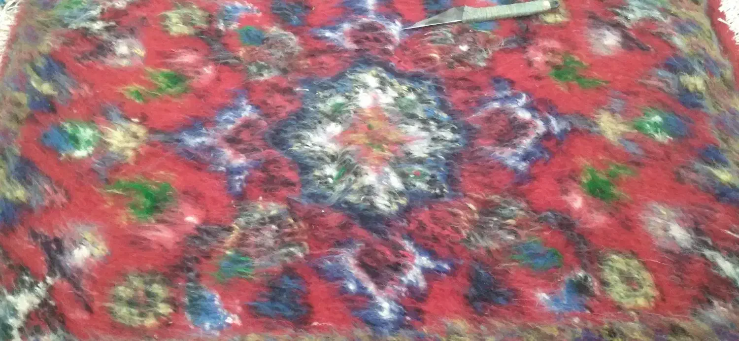 پادری|پادری|تبریز, |دیوار