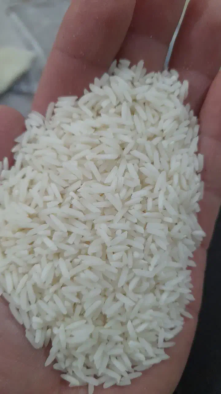 برنج طارم هاشمی فجر سوزنی|خوردنی و آشامیدنی|سبزوار, هویزه|دیوار