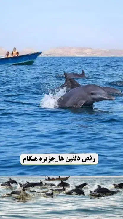 تور اقتصادی قشم|تور و چارتر|سبزوار, قصبه غربی|دیوار