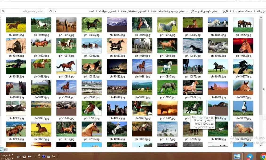 عکس های با کیفیت دیجیتالی|صوتی و تصویری|قزوین, |دیوار