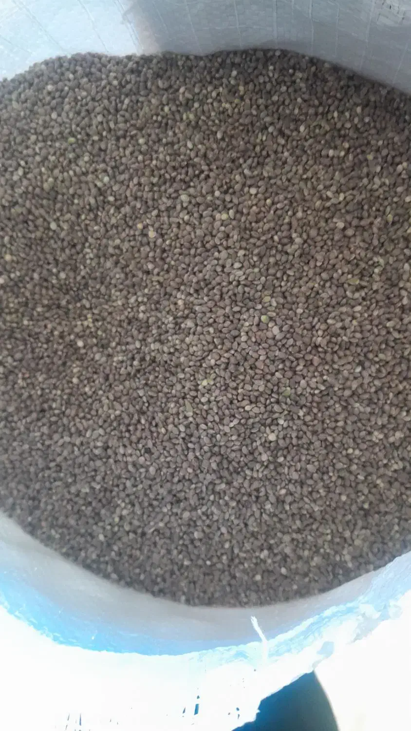 شاهدانه ریز سراب برای سهره وسهره قناری|لوازم جانبی حیوانات|سرعین, |دیوار