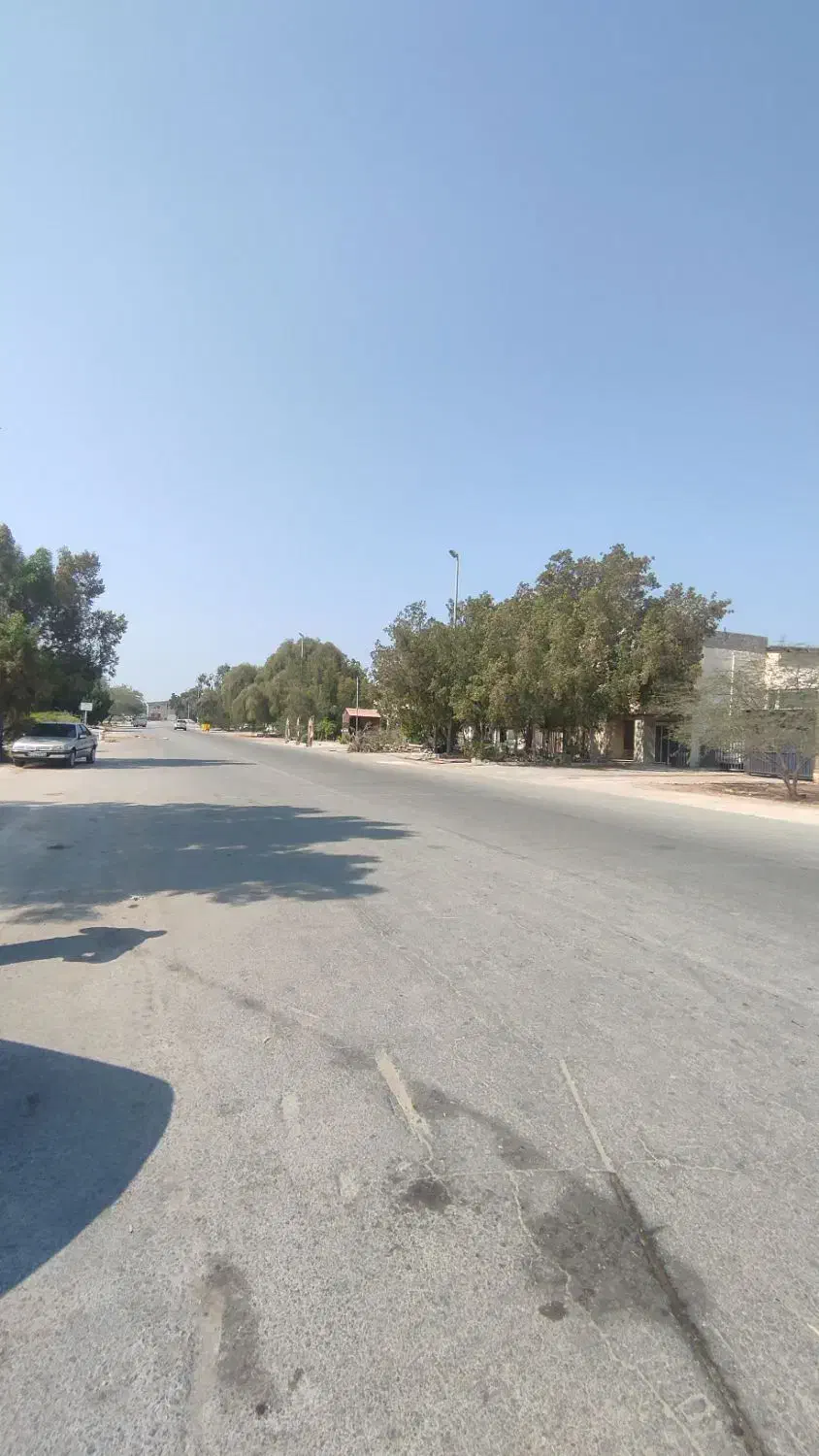 فروش سوله 110 متری در درخت سبز/حسنپور|فروش دفتر صنعتی، کشاورزی، تجاری|کیش, |دیوار