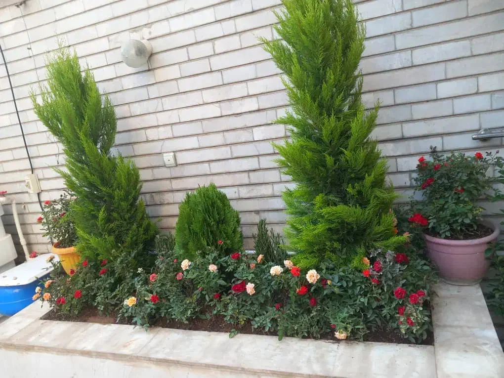 خدمات باغبانی باغچه کاری گل کاری تمام نقاط تهران|خدمات باغبانی و درختکاری|تهران, سعادتآباد|دیوار