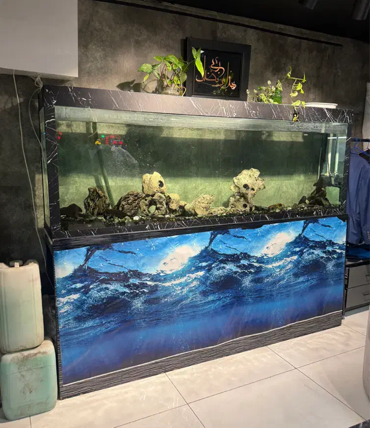 آکواریوم ۲ متری|ماهی|مشهد, کوشش|دیوار