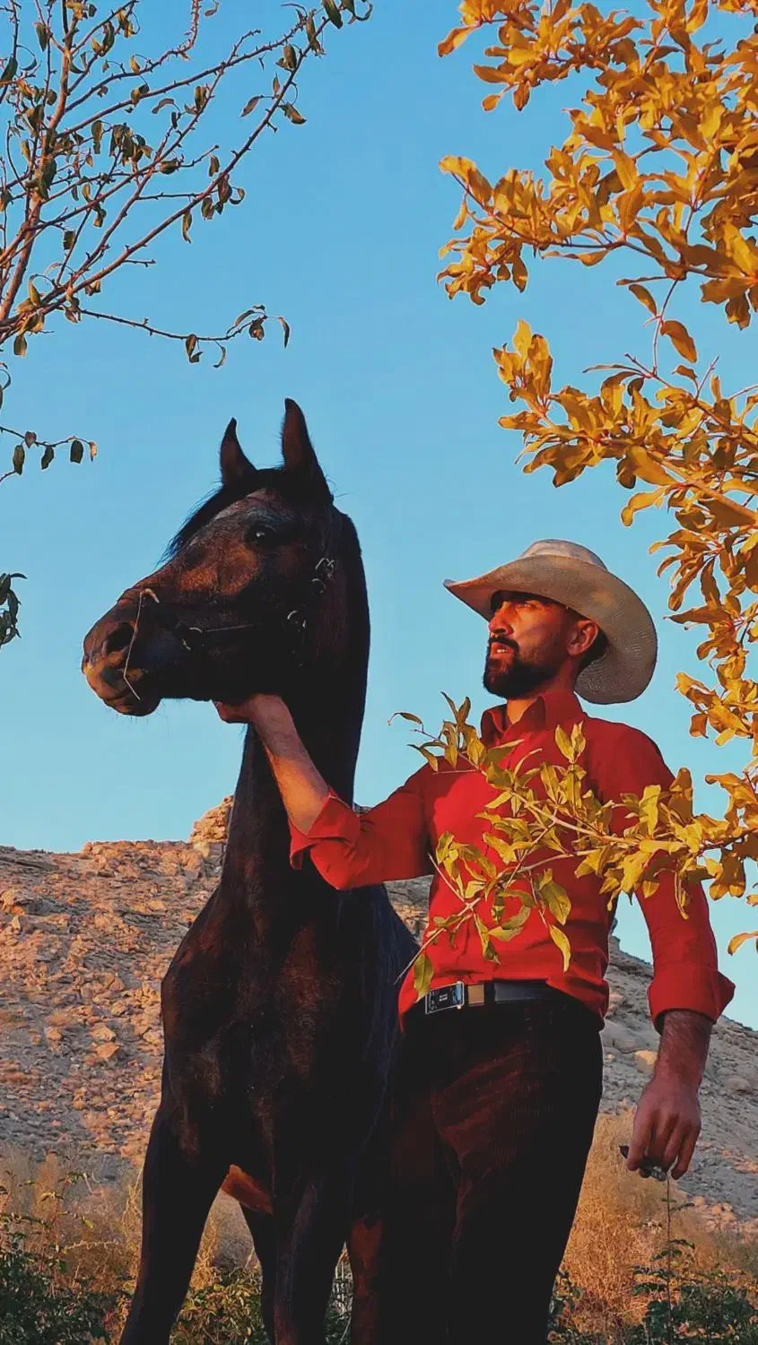 اسب عرب معاوضه با موتور دارم|اسب و تجهیزات اسبسواری|یزد, |دیوار