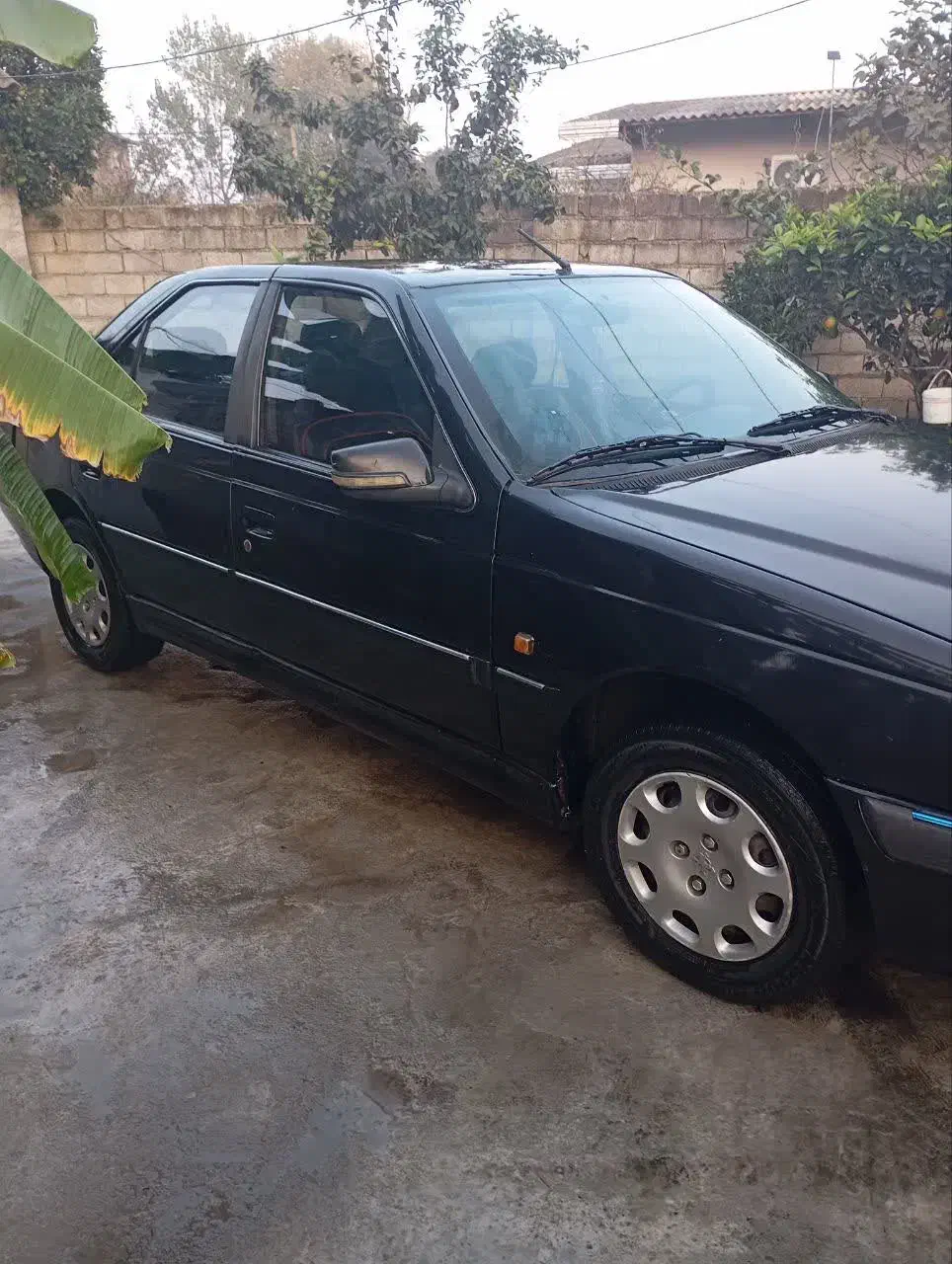 پژو پارس|خودرو سواری و وانت|کوهیخیل, |دیوار