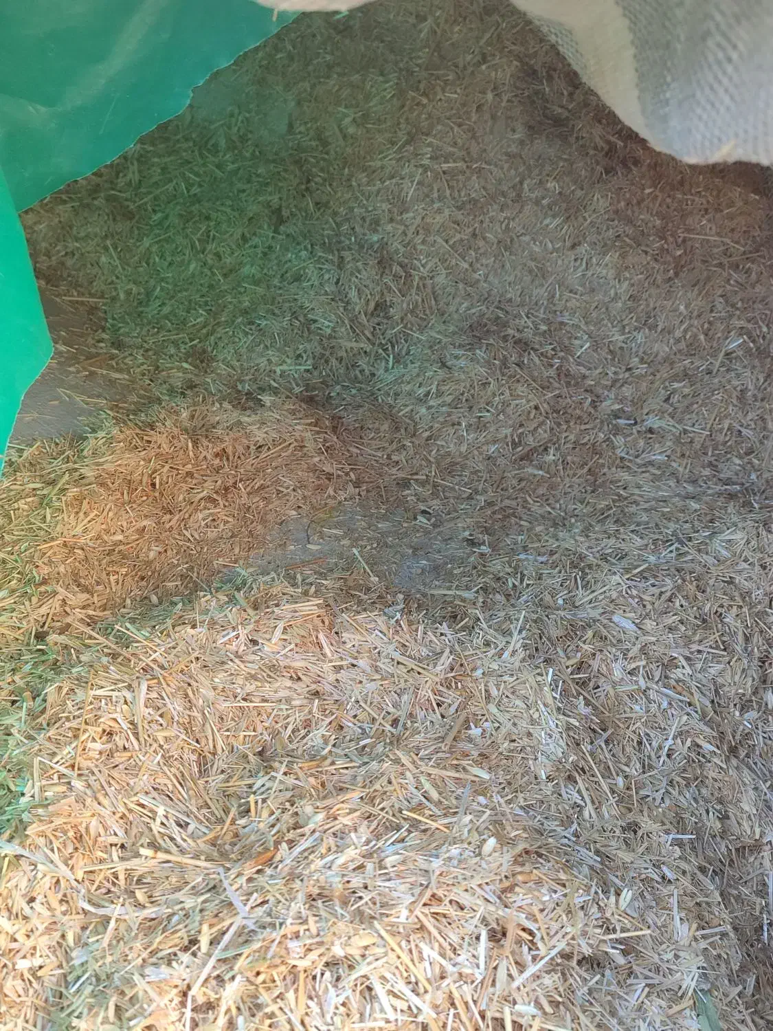 کاه|لوازم جانبی حیوانات|هریس, |دیوار