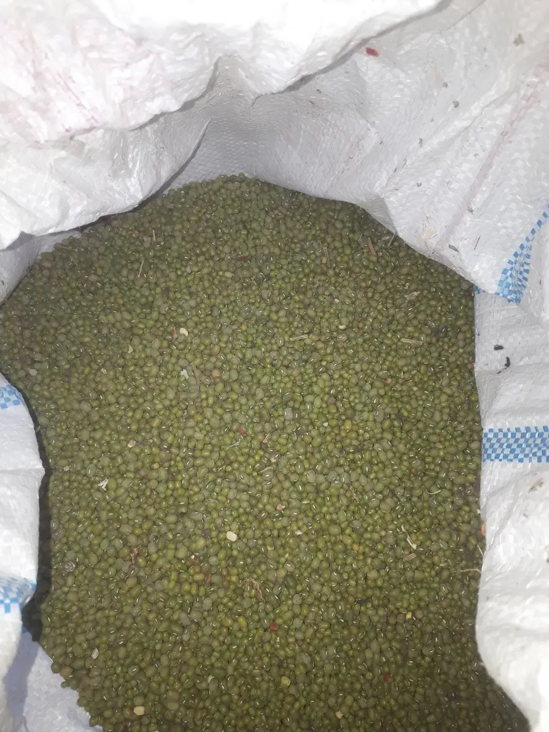 ماش|عمده‌فروشی|بهبهان, |دیوار