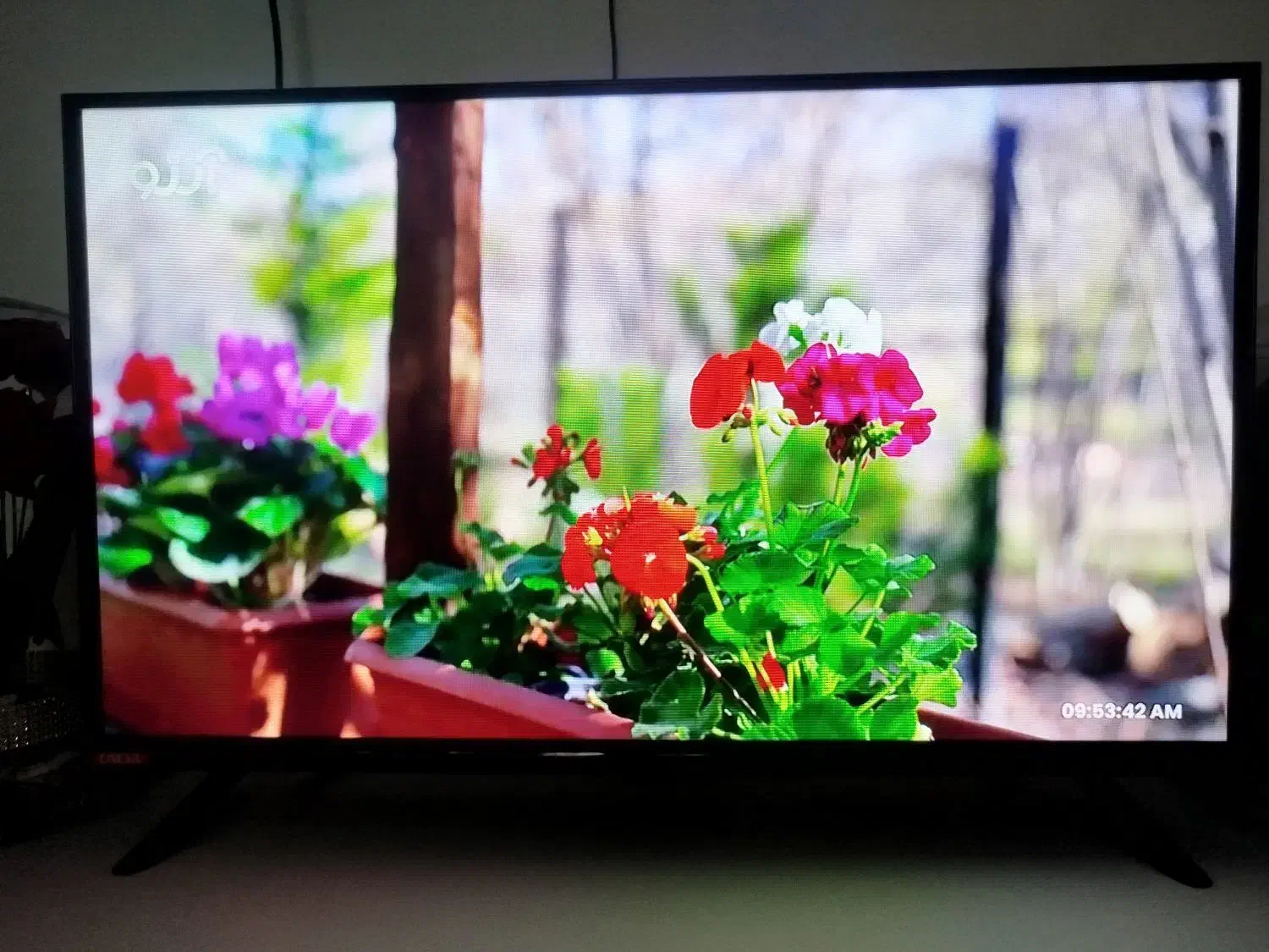 led32 یونیوا نو|تلویزیون و پروژکتور|تهران, شهرک رضویه|دیوار