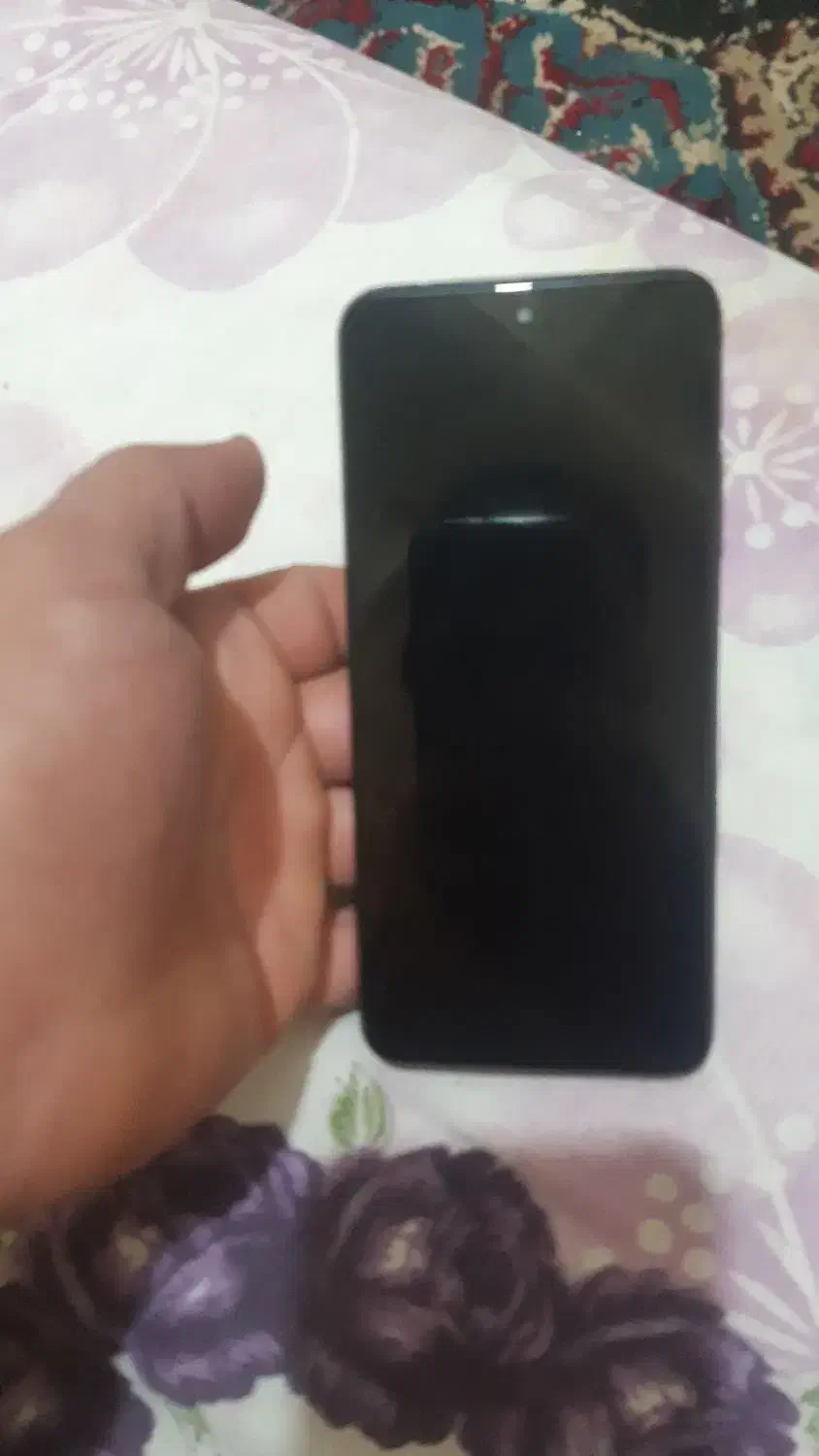 میش  بره شیری|حیوانات مزرعه|اهواز, امانیه|دیوار