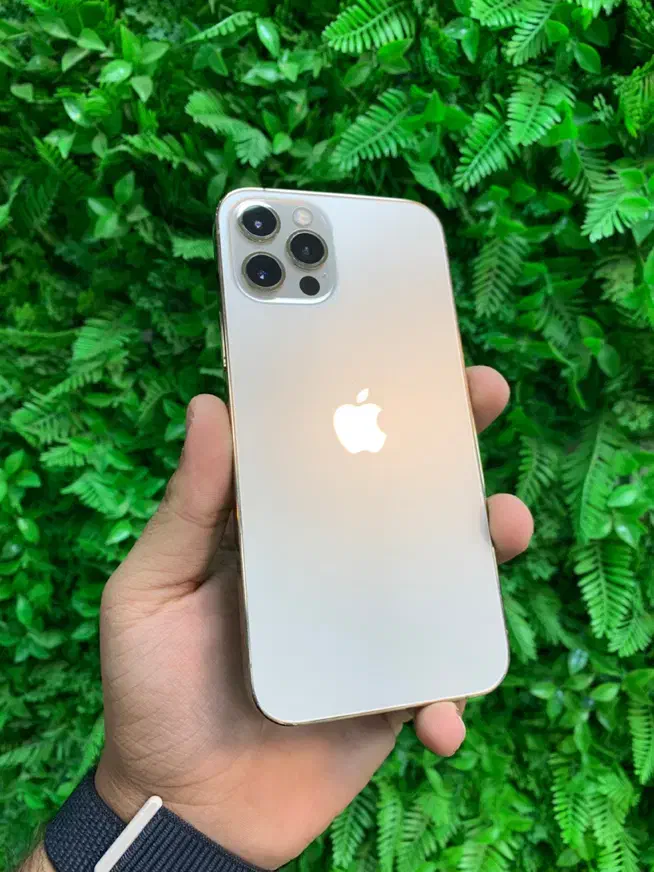 آیفون ۱۲ پرو با حافظه ۲۵۶ گیگ|موبایل|زنجان, |دیوار