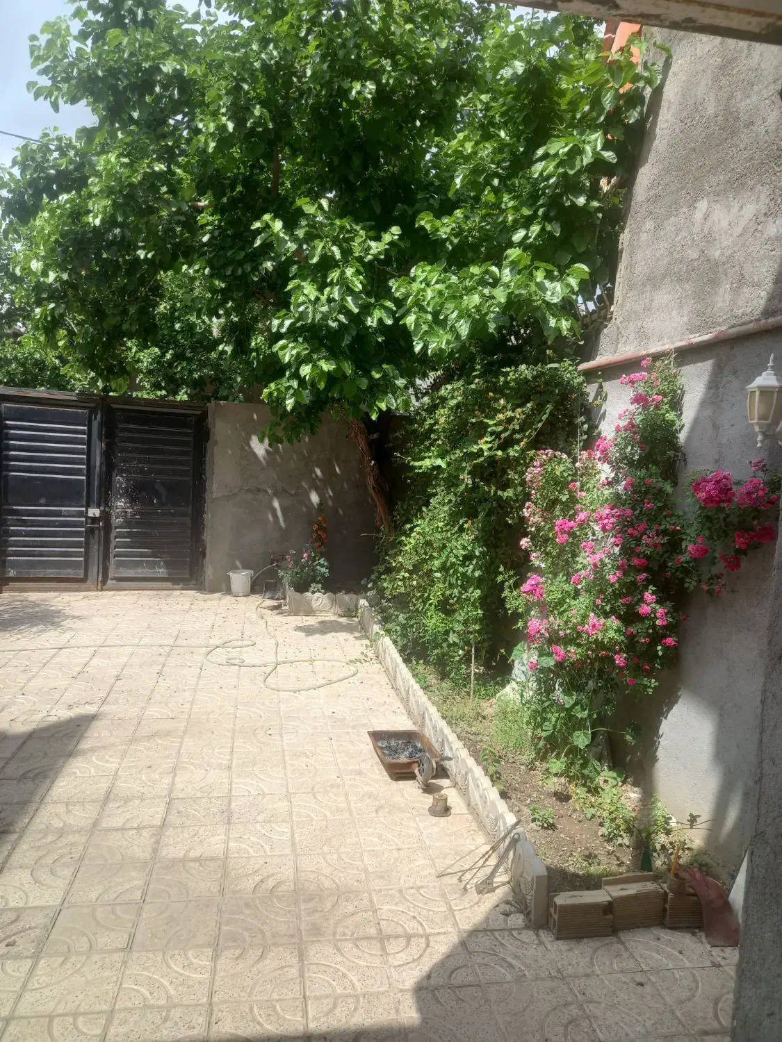 اجاره یا فروش خانه ویلایی ولیعصر|اجارهٔ خانه و ویلا|شاندیز, |دیوار