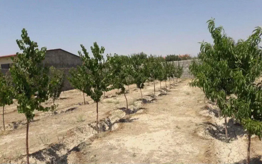 باغ ویلا در وایقان|فروش زمین و ملک کلنگی|شبستر, |دیوار