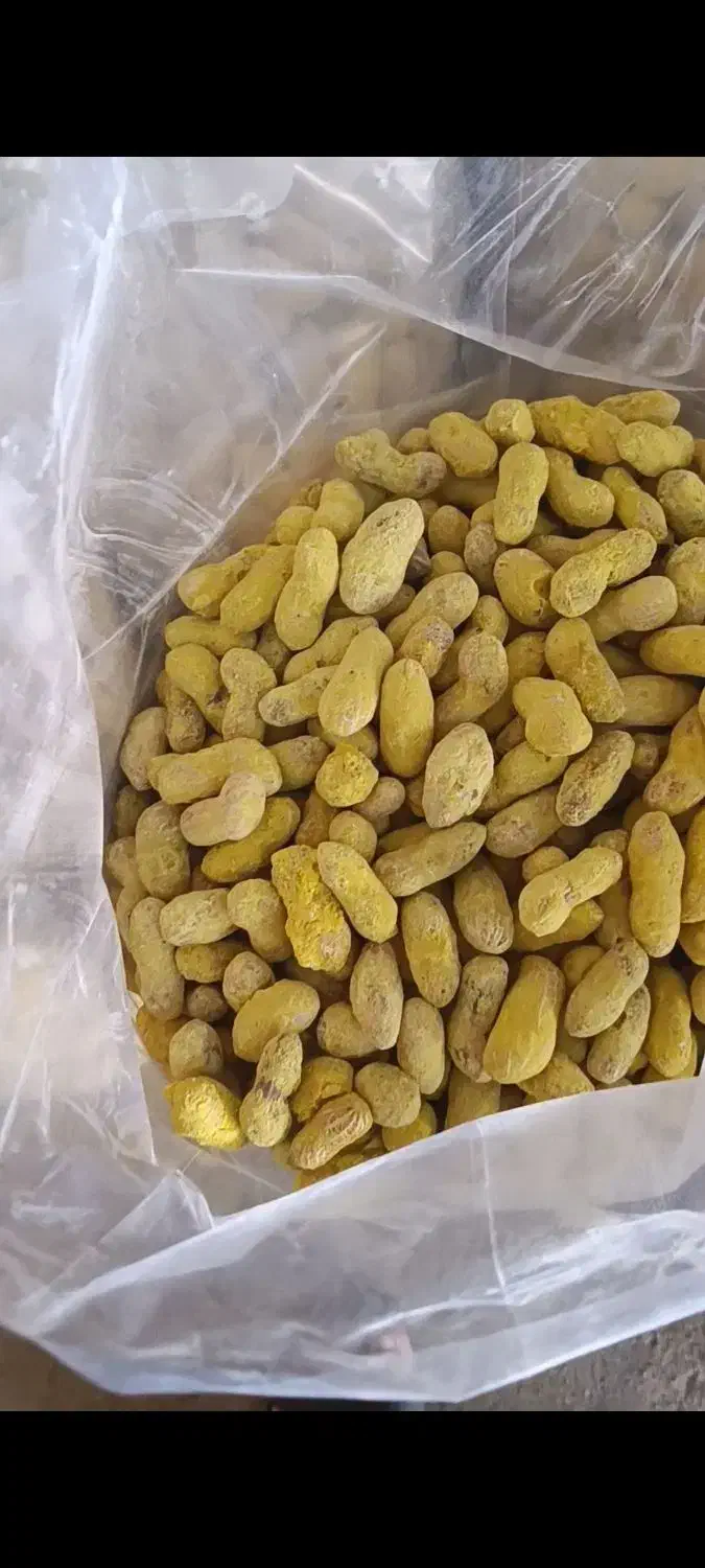 کارگاه بادام زمینی و تخمه|حراج|بوکان, |دیوار