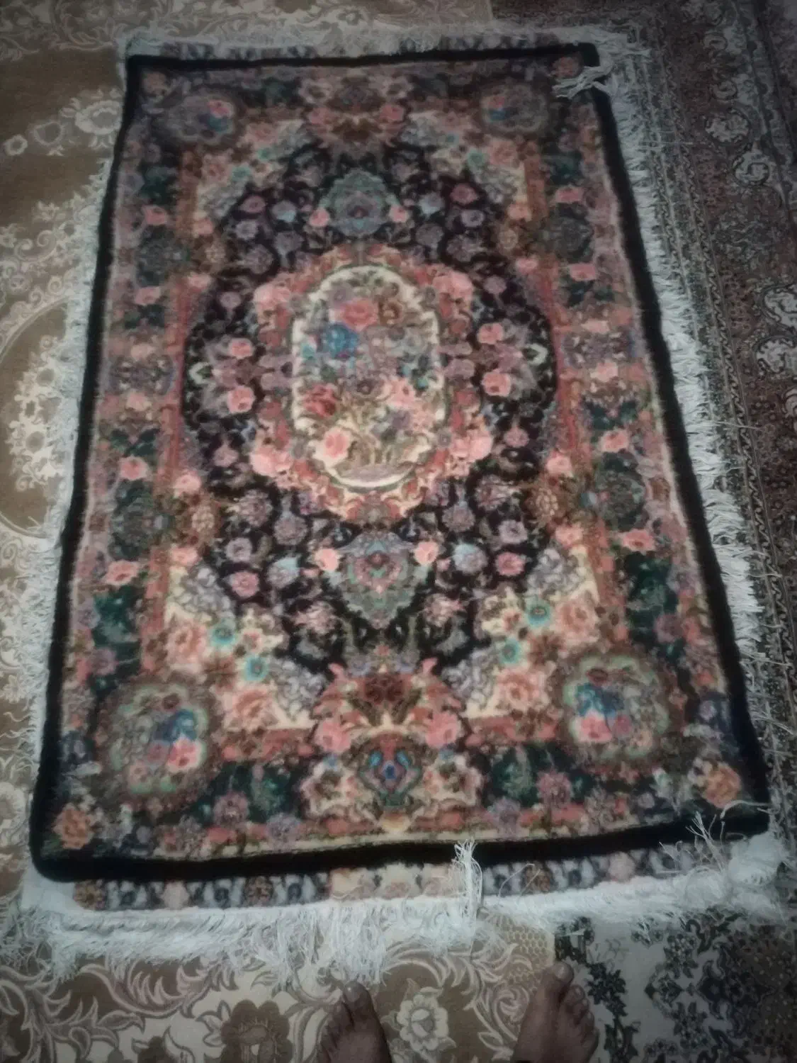 قالی چله ابریشم|فرش|شهرکرد, |دیوار