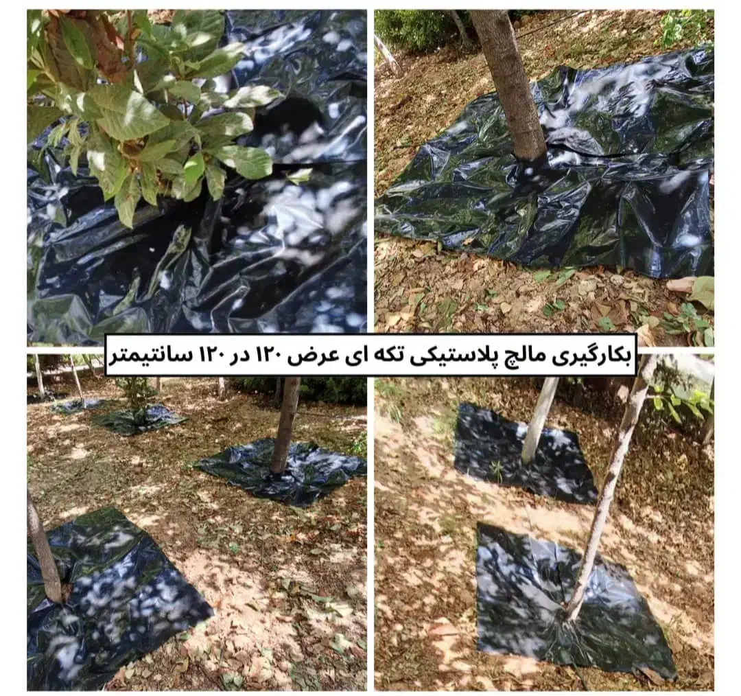نوار تیپ(آبیاری)پلاستیک مالچ کشاورزی و درختی|خدمات باغبانی و درختکاری|کازرون, |دیوار