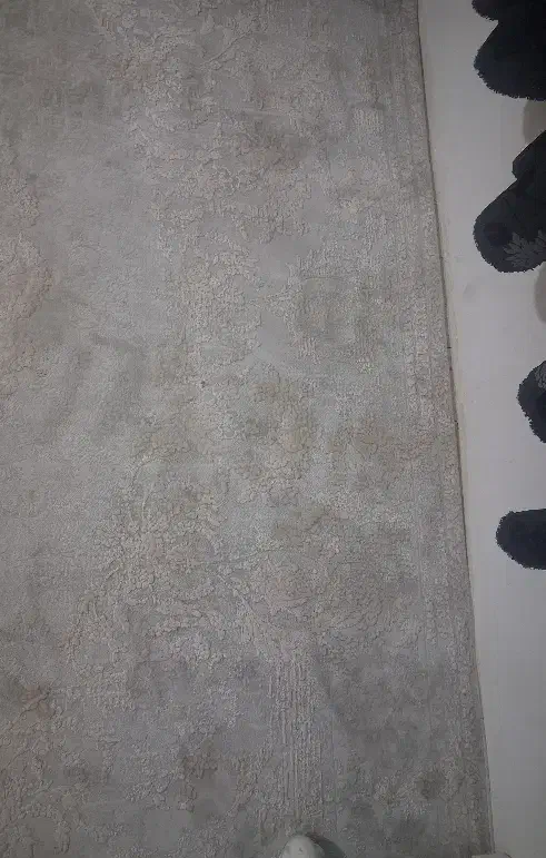 یک جفت ۶متری طرح پتینه|فرش|کرمانشاه, |دیوار