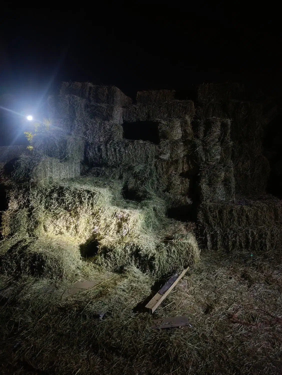 یونجه|لوازم جانبی حیوانات|بروجرد, |دیوار