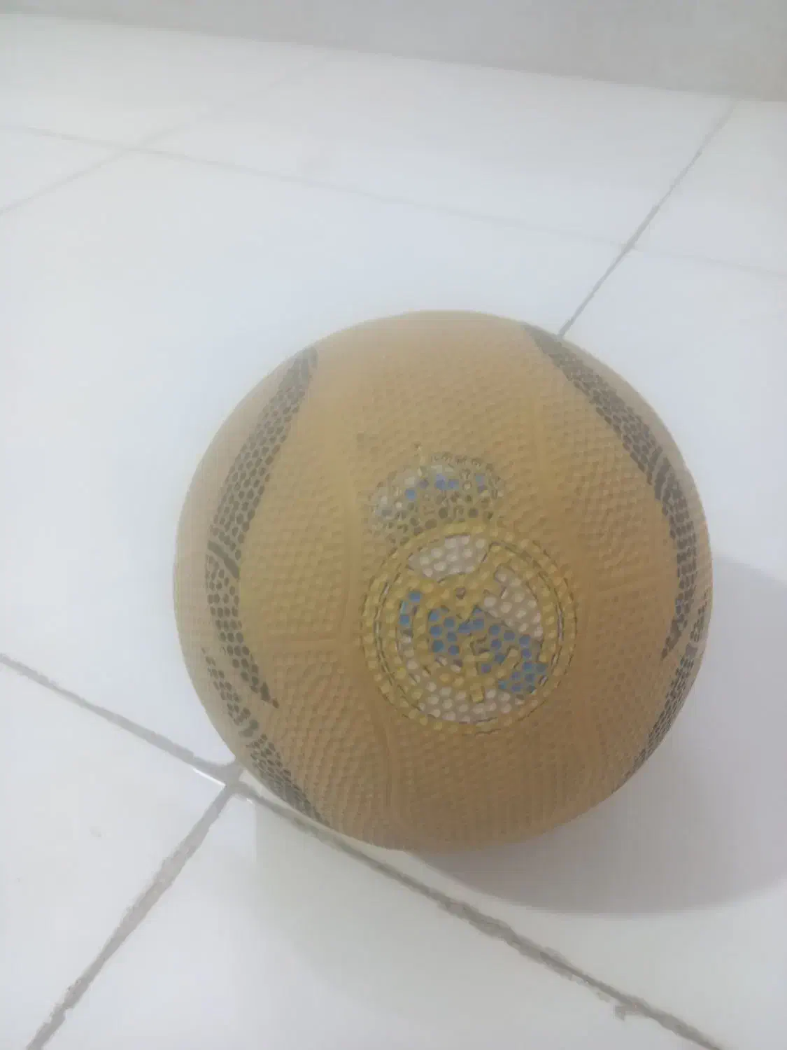 توپ|ورزشهای توپی|نیشابور, هفده شهریور|دیوار